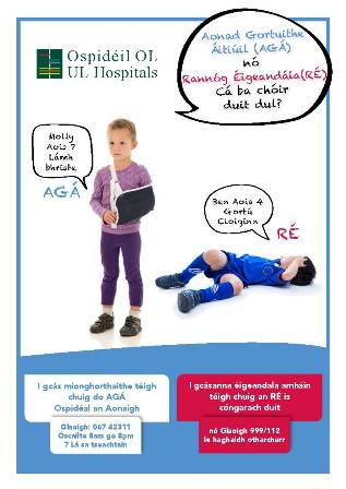 LIU Nenagh Poster Irish